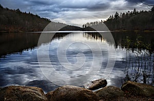 Forest lake with reflected clouds, nature background with copy space