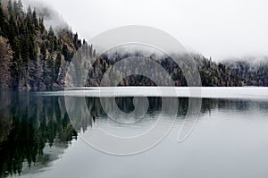 Forest lake reflection with fog in Rica, national park Abkhazia