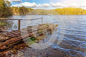 Forest lake or river on summer day and old rustic wooden dock or pier