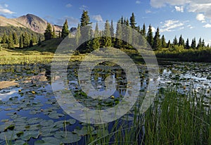 Forest lake in Rocky Mountains