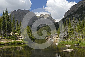 Forest lake in Rocky Mountains