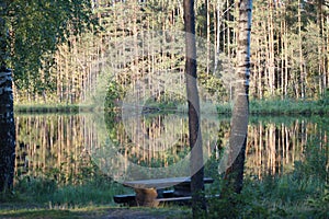Forest lake in summer. Table and bench