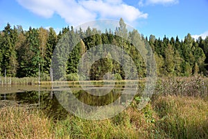 Forest lake on sunny autumn day, Moscow region, Russia