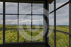 Forest & Lake Tower View