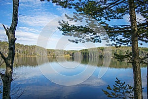 Forest lake under blue cloudy sky