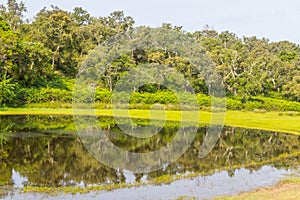 Forest and lake in Vale Seco, Santiago do Cacem