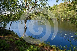 Eronimovo lake on the Anzersky Island