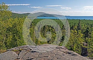 Forest and Lake Viewed From a High Cliff