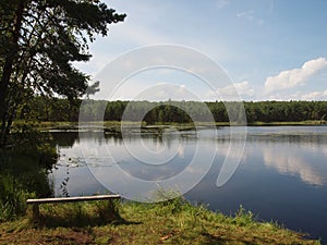 Forest lake with a wooden bench on the coast.