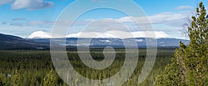 Forest landscape with dramatic snowy mountains in the background. SonfjÃ¤llet, Sweden. Panorama