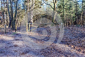 Forest landscape with hiking trail with wooden crossbar and signs