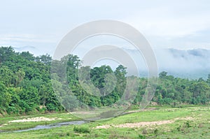 Forest landscape at Huai Kha Khaeng wildlife sanctuary