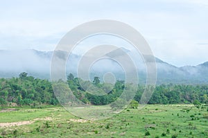 Forest landscape at Huai Kha Khaeng wildlife sanctuary photo