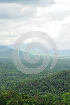 Forest landscape at Huai Kha Khaeng Wildlife Sanctuary, Thailand photo