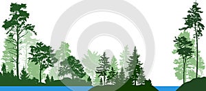 Forest landscape from isolated trees. Forest river. Vector illustration