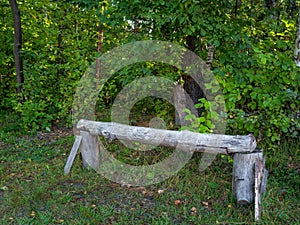 Forest landscape. A log bench at the edge of the forest on a sunny summer day