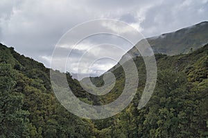 Forest landscape in Madeira Portugal with clouds