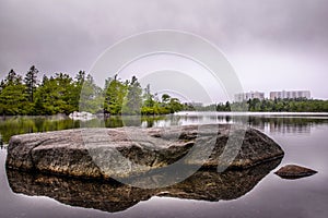 Forest landscape with mossy rocks and trees. Atlantic Canada