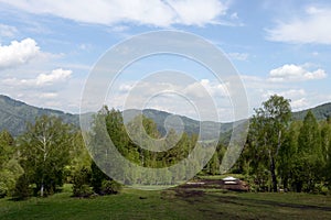 Forest landscape on the mountain Malaya Sinyukha in the area of Lake Manzherok. Gorny Altai