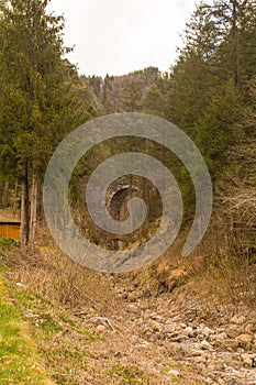 Forest Landscape Near Ovaro, Italy