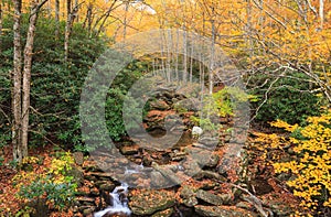 Forest Landscape North Carolina Blue Ridge Mountains