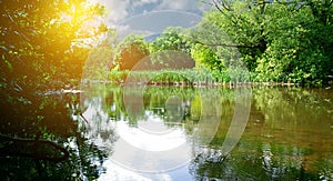 Forest landscape and river bank in the rays of the bright spring sun