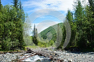 Forest landscape of the Sayan Mountains. Siberia.