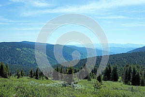 Forest landscape of the Sayan Mountains. Siberia.