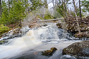 Forest landscape with small river cascade falls over mossy rocks