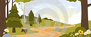 Forest landscape. Spring summer woodland with pine trees, birch tree and wild flowers in foreground. Sunrise morning in
