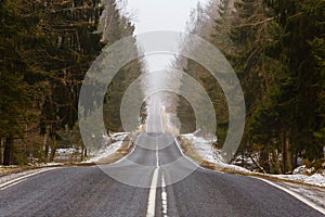 Forest landscape. Straight road along misty forest. Spring scenery