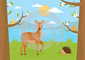 Forest landscape in summer. Cartoon roe deer, hedgehog and birds