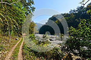 Forest landscape with track alongside a river in Kalagarh Tiger Reserve, Corbett Tiger Reserve