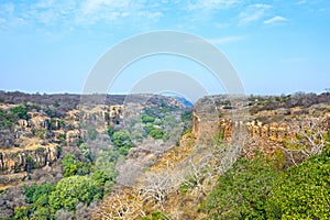 Forest landscape with vegetation and ruins of fort in an Indian forest