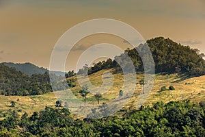 Forest landscape : view of hills and mountain range full of green tree