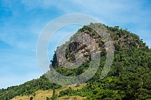 Forest landscape : view of hills and mountain range full of green tree and clear blue sky