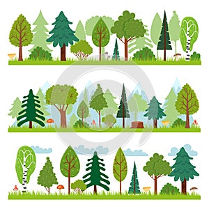 Forest landscapes. Woodland nature trees panorama, forests environment and pine tree vector illustration