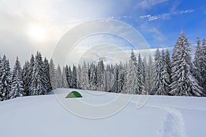 In the forest on the lawn green touristic tent stands with wide path to it. Amazing landscape on the cold winter day.