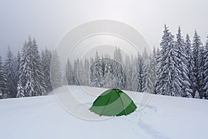 In the forest on the lawn green touristic tent stands with wide path to it. Amazing landscape on the cold winter day.