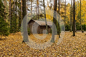 Forest lodge in backwoods, wild area in beautiful forest in Autumn, Valday national park, yellow leafs at the ground