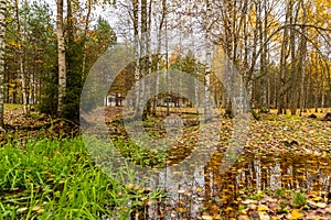 Forest lodge in backwoods, wild area in beautiful forest in Autumn, Valday national park, yellow leafs at the ground