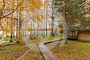 Forest lodge in backwoods, wild area in beautiful forest in Autumn, Valday national park, yellow leafs at the ground