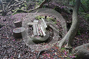 Forest Log Bench