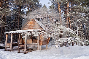 Forest log cabin in winter woods.