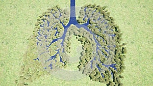 Forest lungs Environment nature earth Save earth green planet