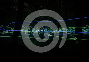 Forest magic captured with blue and green light.