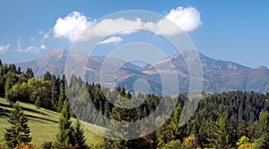 Forest and Mala Fatra above Jasenova village