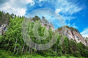 Forest massif with mountains