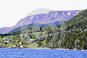 Forest meeting seaside village along Bonne Bay with The Tablelands on the horizon