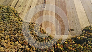 Forest meets field - Autumn Drone shot photo